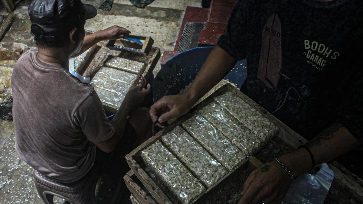 Harga Kedelai Naik, Skema Subsidi Dipertimbangkan