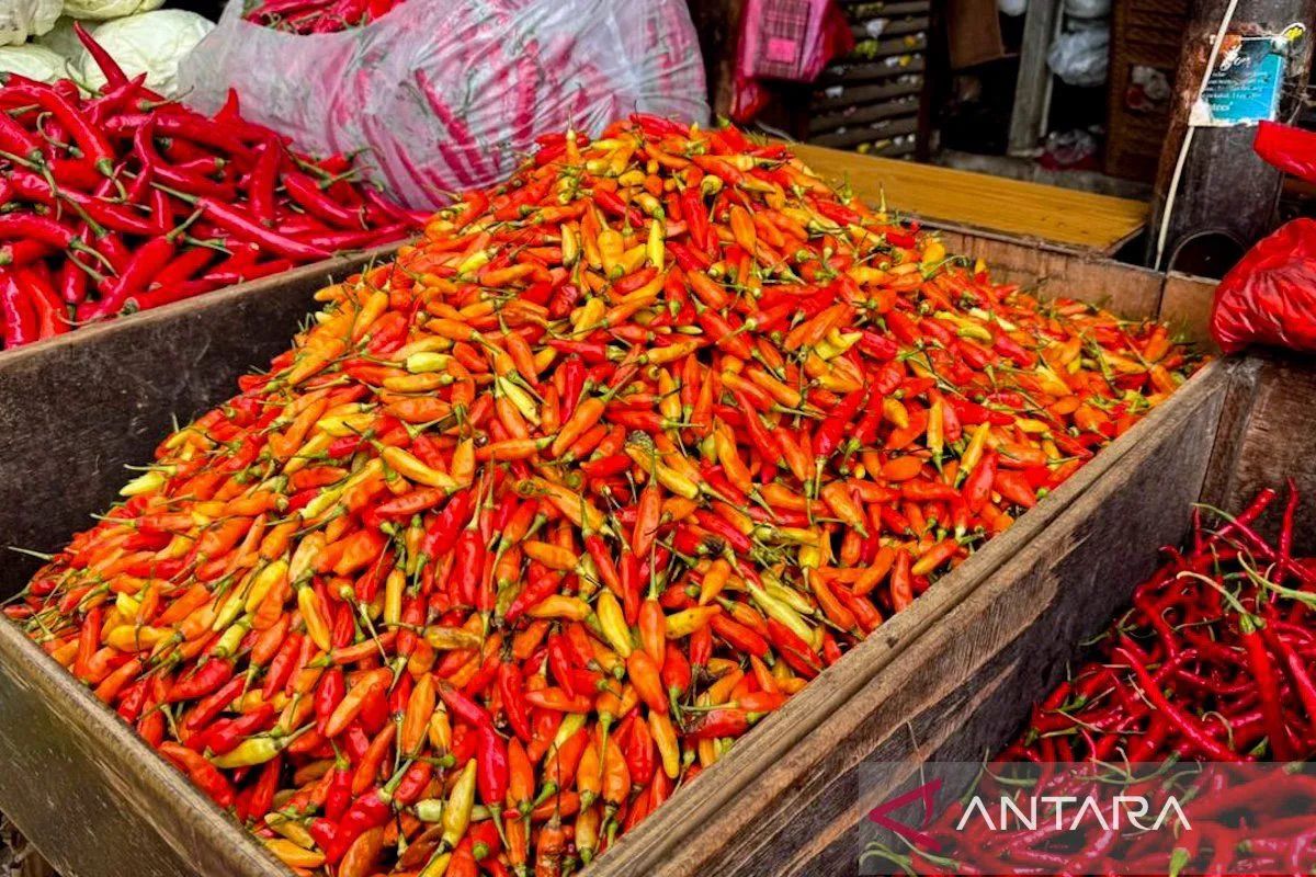 Program Terbaru: PIHPS: Harga cabai rawit Rp76.450/kg, telur ayam Rp32.050/kg