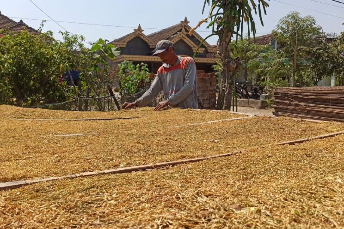 New Policy: Gapero: IHT terdampak larangan bahan tambahan produk hasil tembakau