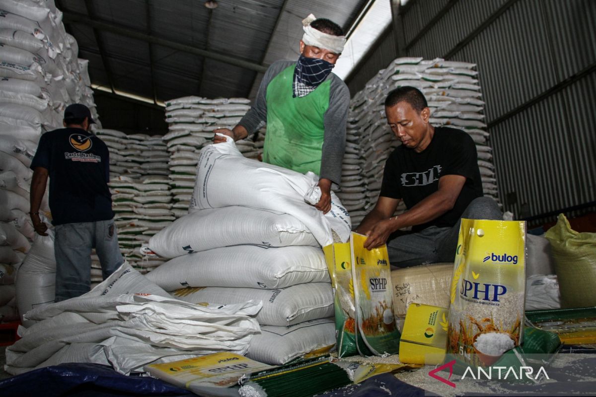 Program Terbaru: Kapasitas gudang Bulog dan stabilitas harga saat panen raya