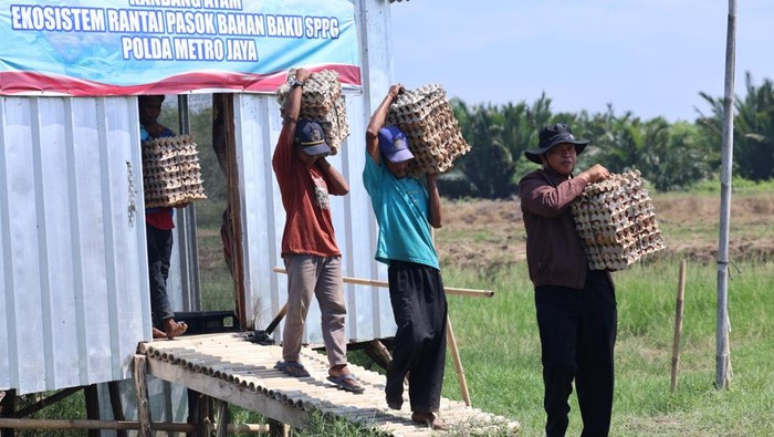 3.000 Telur Berhasil Dipanen di Bekasi – Polda Metro Jaya Salurkan ke SPPG