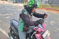 Solution For: Curhat Driver Ojol, Pendapatan Harian Tergerus Bensin dan Makan