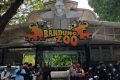 Important News: FK3I Minta Pengelola Baru Bandung Zoo Utamakan Konservasi Satwa dan Kesejahteraan Warga