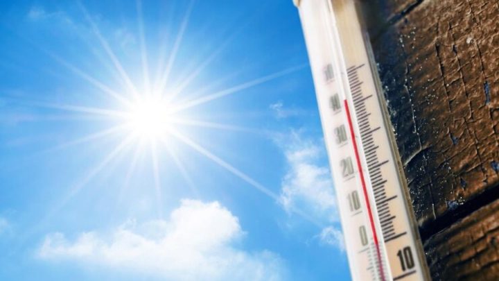 Latest Program: Hadapi Ancaman El Nino, Menko Polkam Djamari Aktifkan Kembali Desk Karhutla