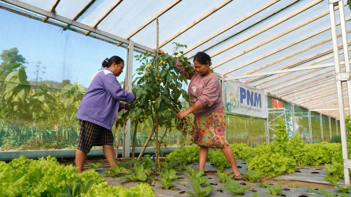 Latest Program: Indonesia Sustainability Award Apresiasi Komitmen ESG dan Pemberdayaan Berkelanjutan PNM