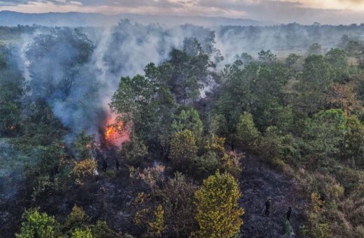 Polda Kalsel Tetapkan 7 Tersangka Karhutla, Kasus Korporasi Menyusul