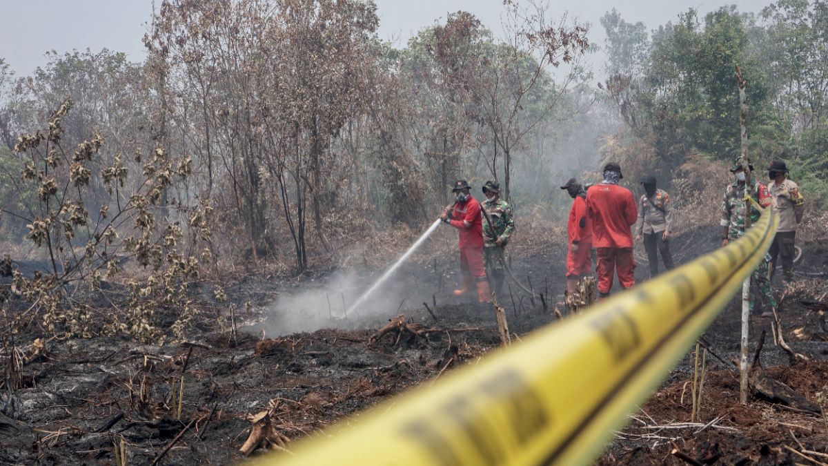 Karhutla dan Bencana Nasional Disorot DPR, Puan Minta Koordinasi Diperkuat
