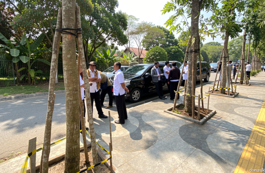 Farhan Tidak Hadir, DPKP Bandung Tanam 10 Pohon Mahoni di Depan Six Nine Padel Cihapit
